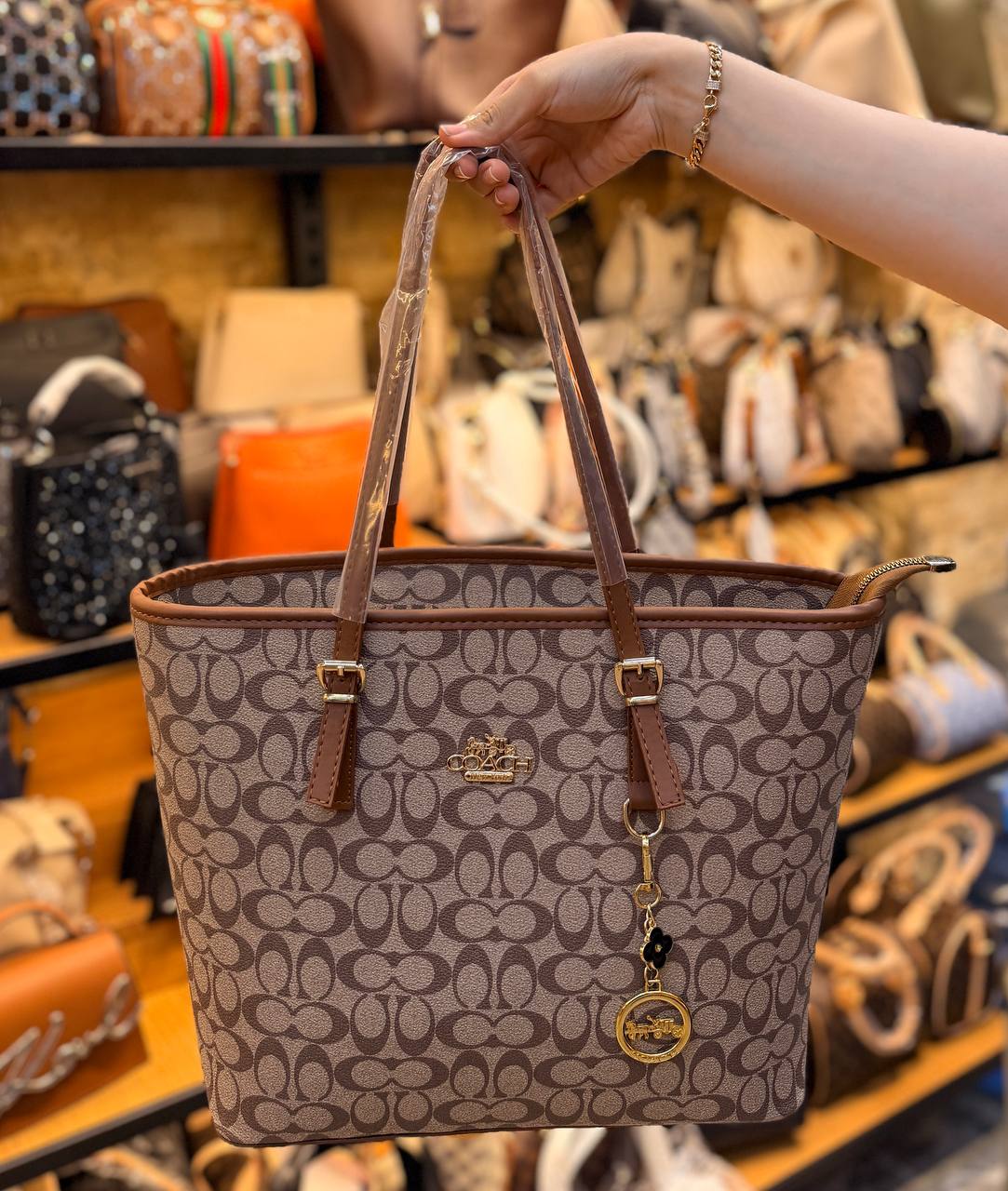 COACH BAG -043