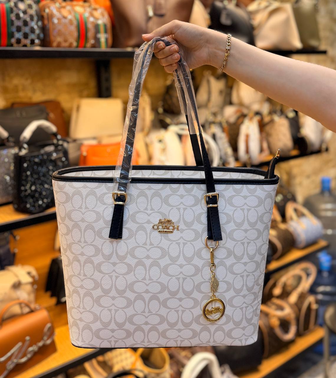 COACH BAG -042