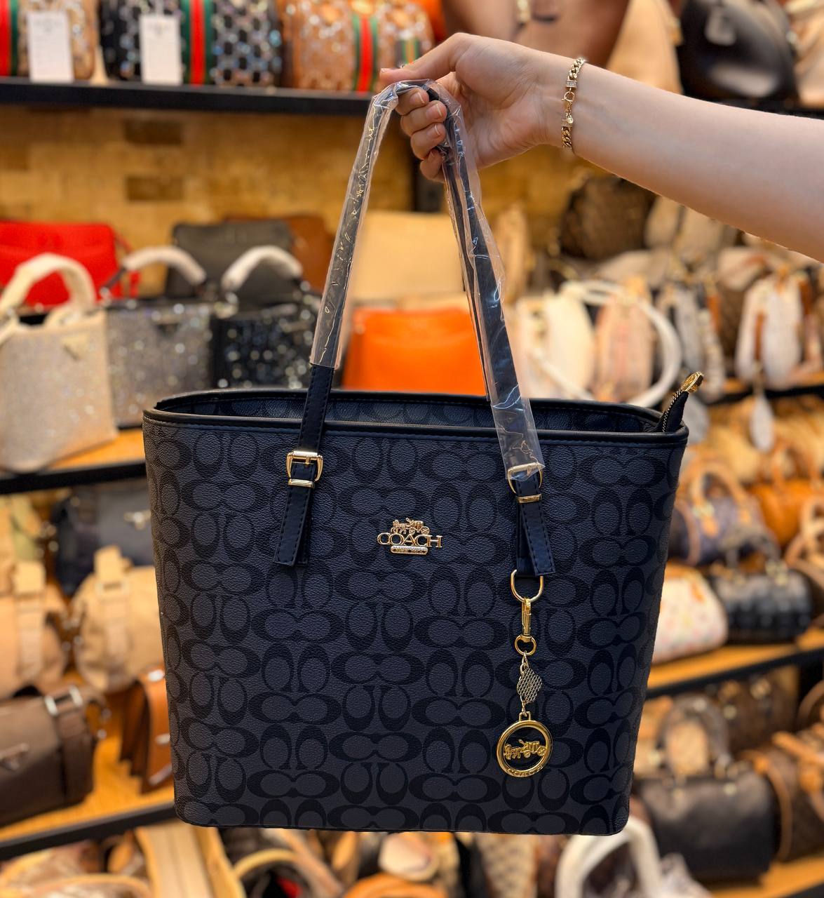 COACH BAG -046