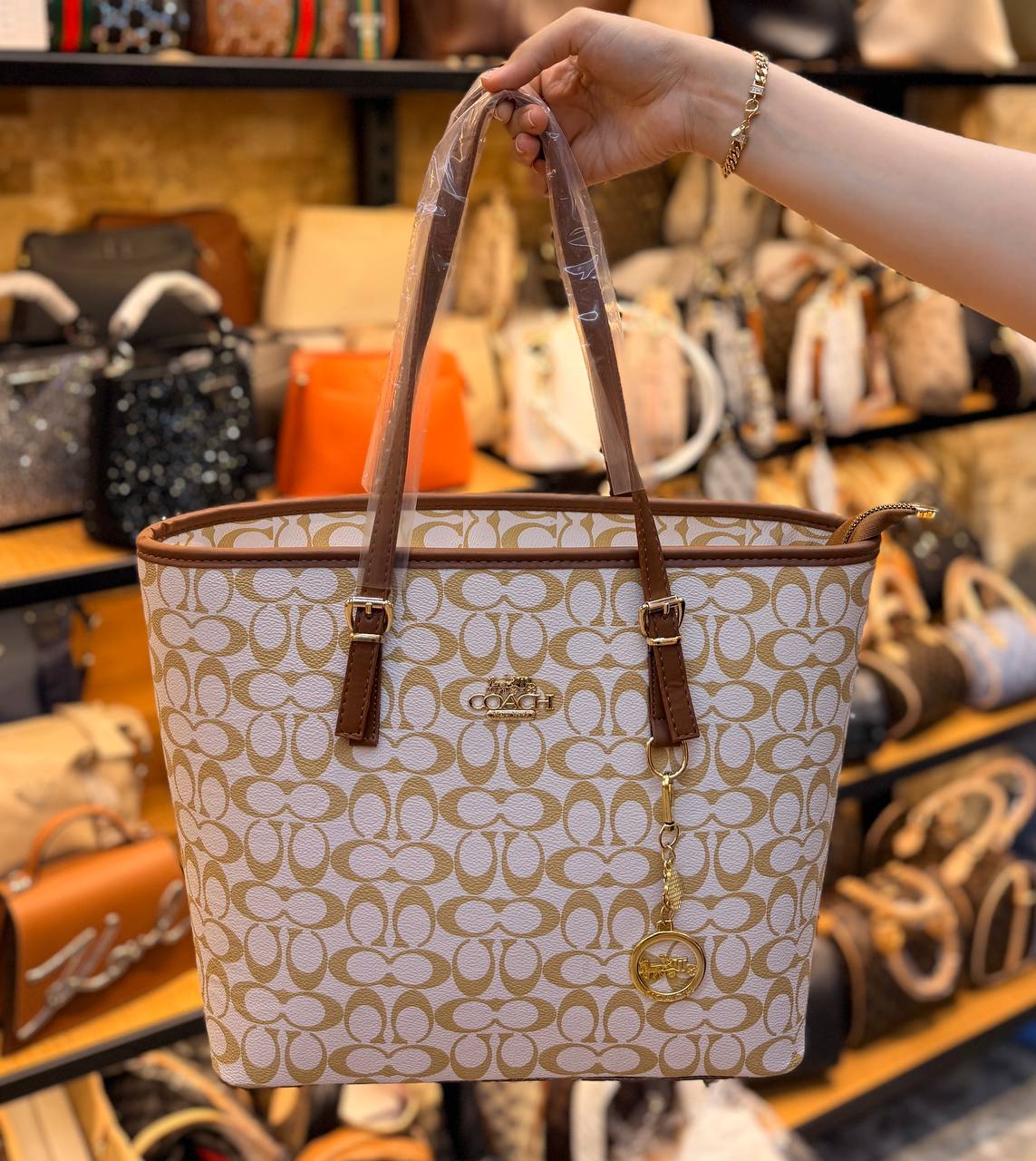 COACH BAG -041