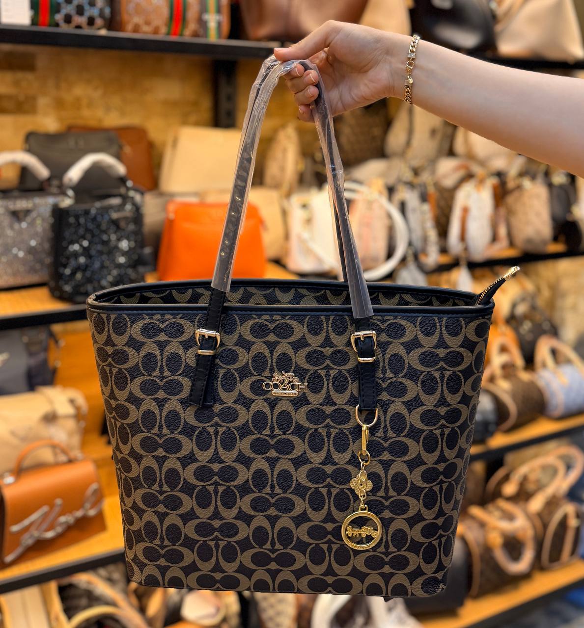 COACH BAG -047