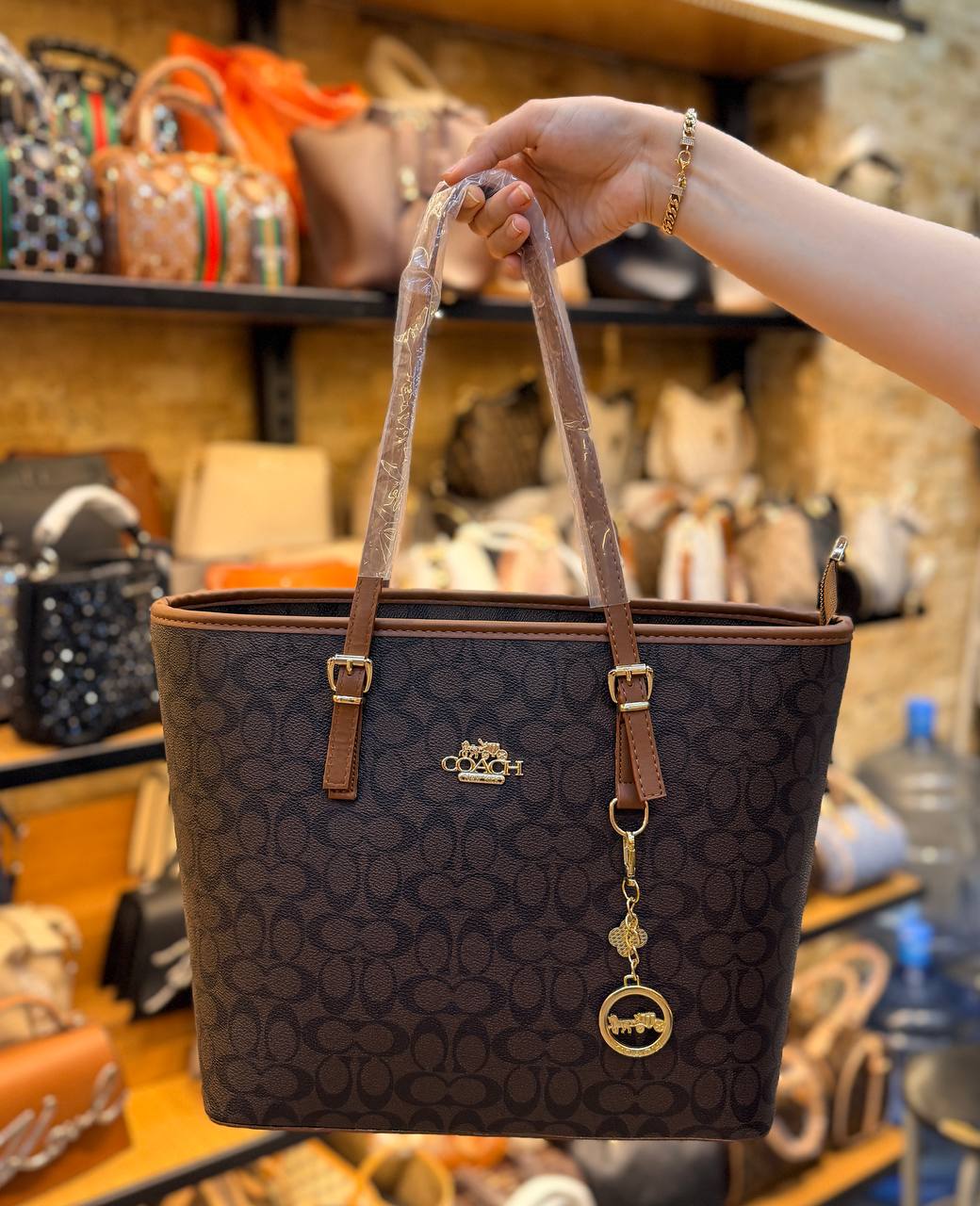 COACH BAG -044