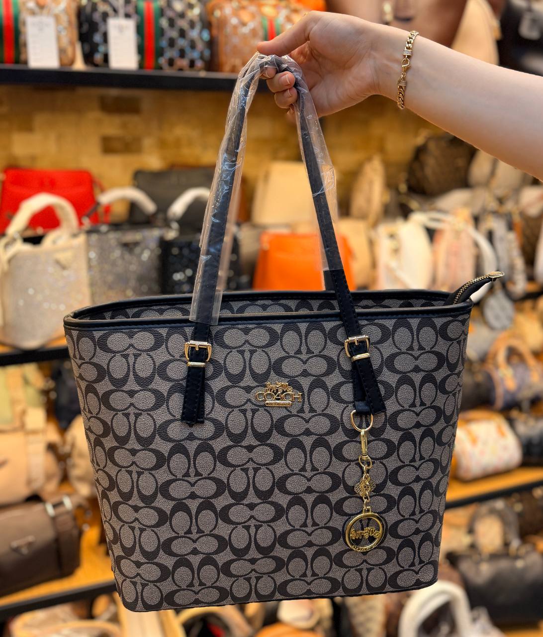 COACH BAG -040