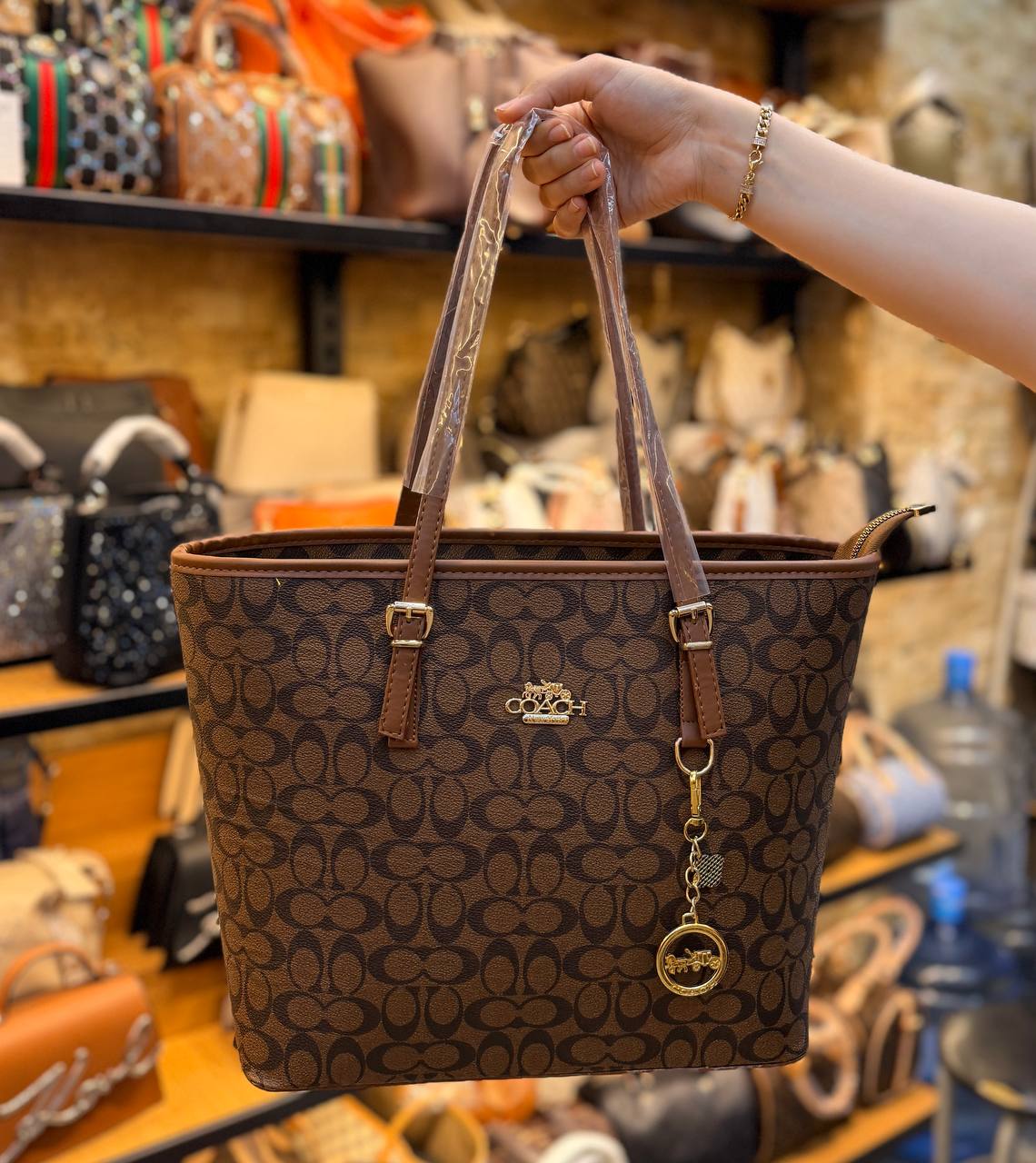 COACH BAG -045